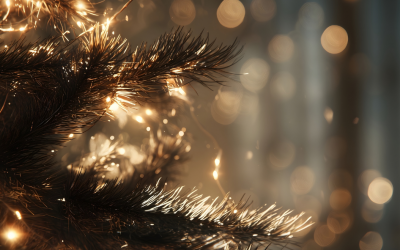 Natale e festività a Bellosguardo